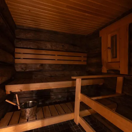 Chalet Kuukkeli Log Aurora 