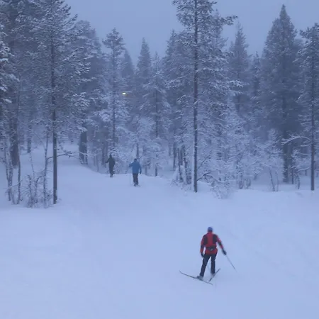 Chalet Kuukkeli Log Aurora 
