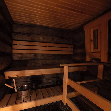 Chalet Kuukkeli Log Aurora 
