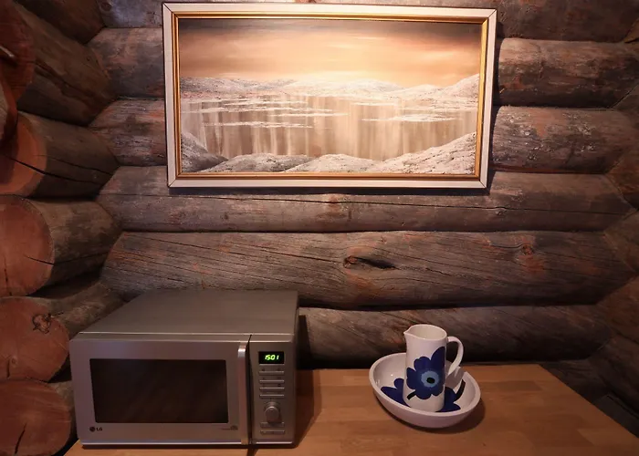 Chalet Kuukkeli Log Aurora 
