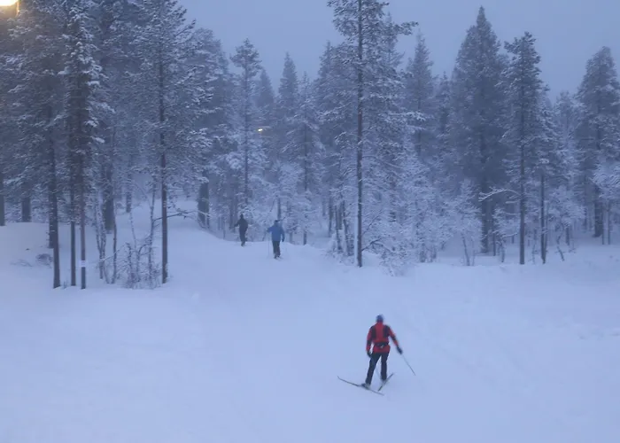 Chalet Kuukkeli Log Aurora 