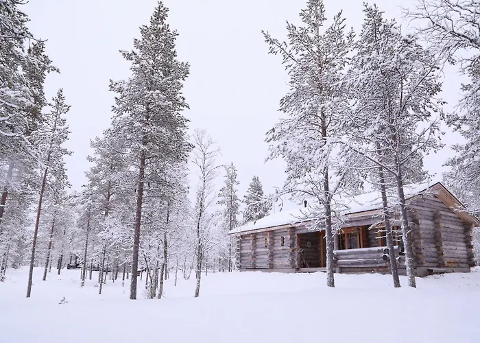 Chalet Kuukkeli Log Aurora 