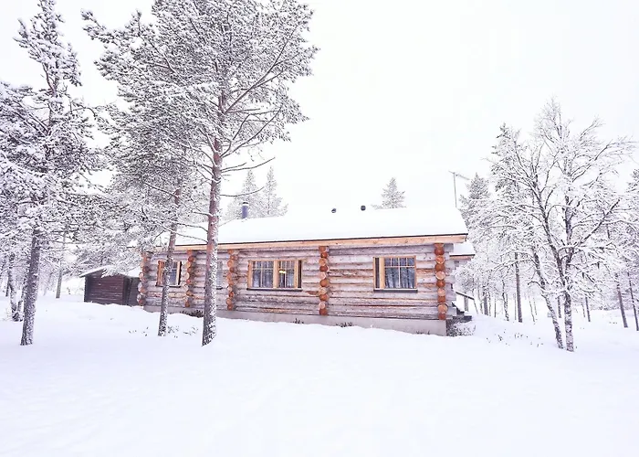 Chalet Kuukkeli Log Aurora 